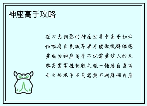 神座高手攻略